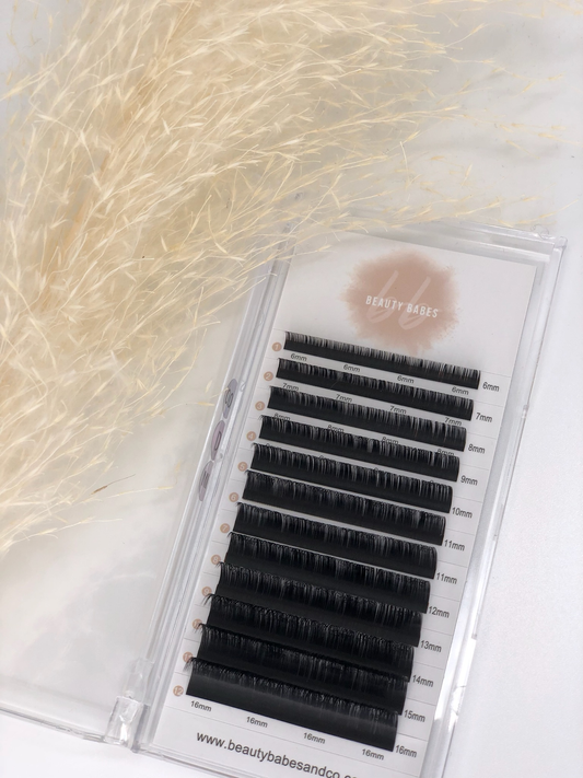 Classic Lash Trays